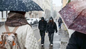 Синоптики сообщили о пасмурной погоде и мокром снеге в Москве 15 января