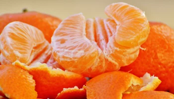 Возобновлено движение большегрузов с мандаринами через границу Абхазии с Россией