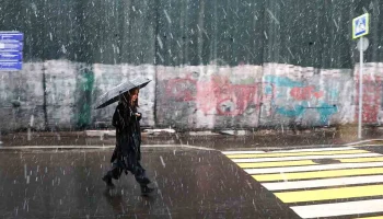 Синоптики предупредили москвичей о снеге с дождем 21 декабря