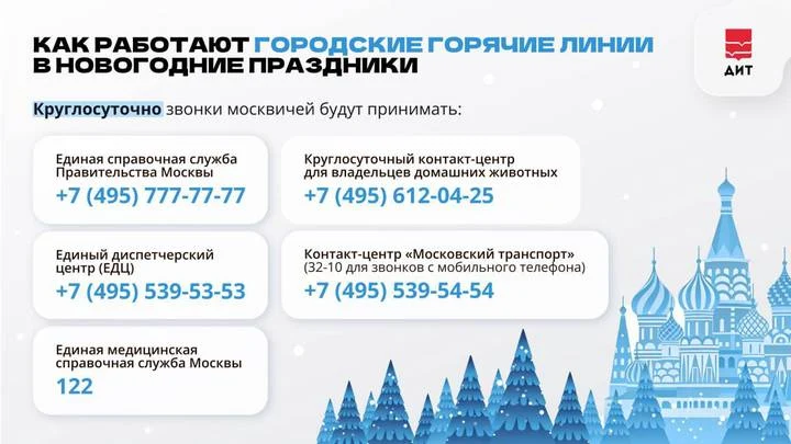 Собянин напомнил о горячих линиях для обращения во время новогодних каникул