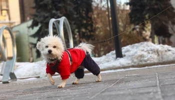 В Гидрометцентре назвали сроки возвращения в Москву комфортной погоды