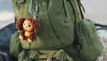 Регулярную выплату контрактникам распространят на военных, отражающих вторжение