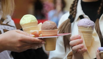 Кабмин РФ приравнял алкогольное мороженое к спиртным напиткам