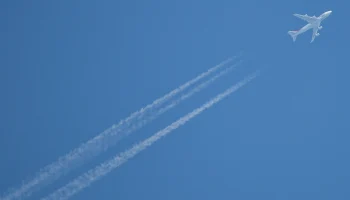 Летевший в Новосибирск самолет начало трясти из-за попавшей в двигатель чайки
