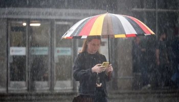 Синоптики сообщили о пасмурной и дождливой погоде в Москве 24 октября