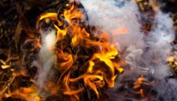 Сухая трава загорелась на площади 20 га в Коктебеле