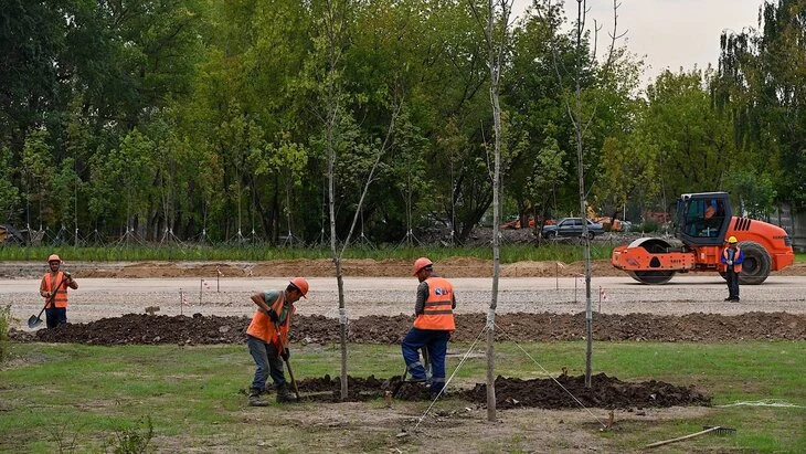 Более 3 тыс деревьев украсят вылетные магистрали и крупные улицы столицы осенью