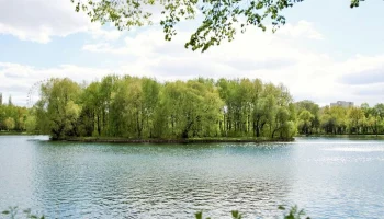 Москвичам рассказали, как столичные парки заботятся о дикой природе