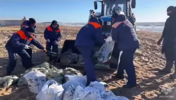 На побережье Кубани и Крыма собрали более 21 тыс тонн загрязненного грунта