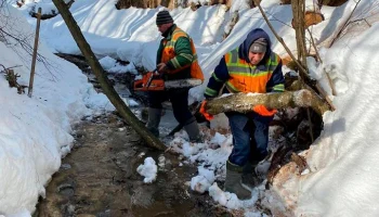 В Москве очистили 192 км русел малых рек и ручьев перед весенним половодьем