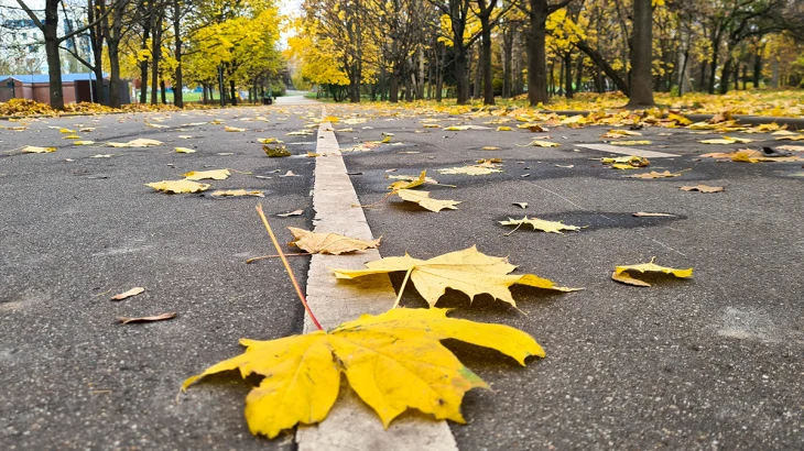 Вильфанд: Температура в Москве 22 сентября побила 147-летний рекорд Вильфанд: Температура в Москве 22 сентября побила 147-летний рекорд