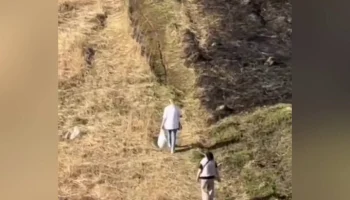 Полицейские задержали женщину за поджог травы в Домодедове