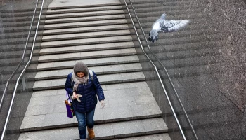 &laquo;Желтый&raquo; уровень опасности из-за ветра объявлен в Москве до вечера 3 апреля