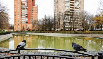 На юго-западе Москвы провели реабилитацию Семеновского пруда