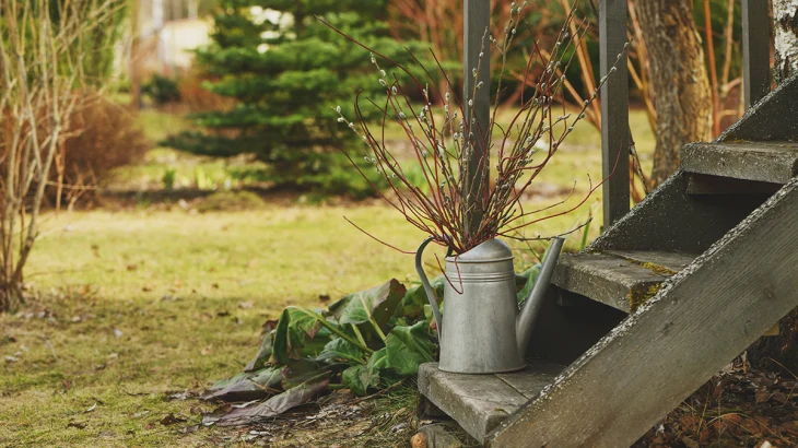 Подзимний посев приносит хороший результат: что посадить на огороде поздней осенью Подзимний посев приносит хороший результат: что посадить на огороде поздней осенью