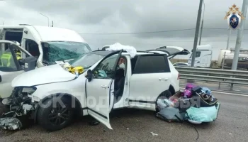 Дело возбуждено после ДТП с автобусом на трассе М-4 "Дон" в Подмосковье