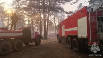 Лесопожарные службы потушили в России 54 лесных пожара за прошедшие сутки