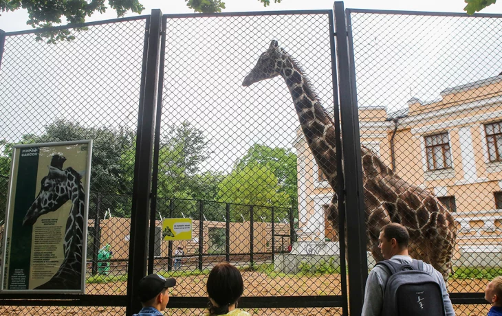 Собянин: С начала года Московский зоопарк спас около 100 животных Собянин: С начала года Московский зоопарк спас около 100 животных