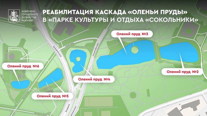 Собянин: Каскад из пяти прудов в «Сокольниках» до конца года приведут в порядок