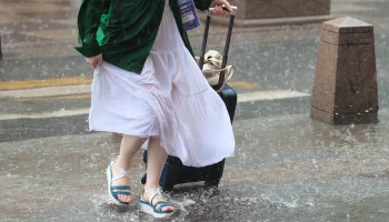 МЧС предупредило москвичей о грозе и кратковременном дожде 17 июля