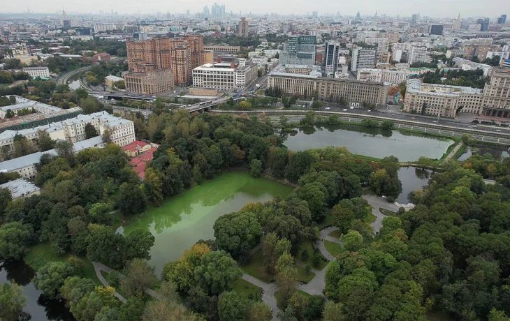 Москва усилит заботу о зеленом фонде города с учетом потребностей горожан