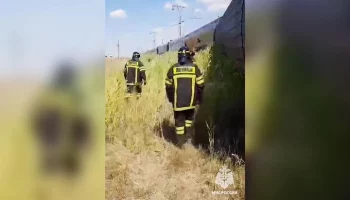 МЧС РФ: 9 вагонов поезда сошли с рельсов и 7 опрокинулись в Волгоградской области