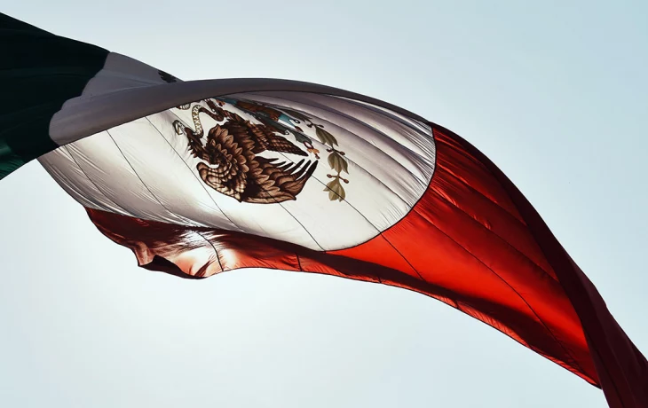 Мексиканский картель похитил москвичку и 30 грузин у границы с США Мексиканский картель похитил москвичку и 30 грузин у границы с США