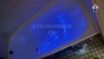 Житель Москвы убил отца и сжег его тело в лесополосе Житель Москвы убил отца и сжег его тело в лесополосе