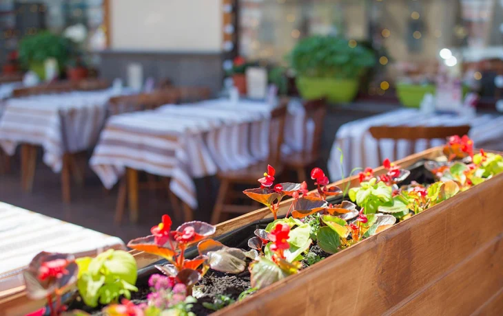 Рестораторы поддержали новый порядок установки летних веранд в Москве Рестораторы поддержали новый порядок установки летних веранд в Москве