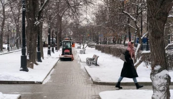 Городские службы переведены в режим повышенной готовности из-за снегопада