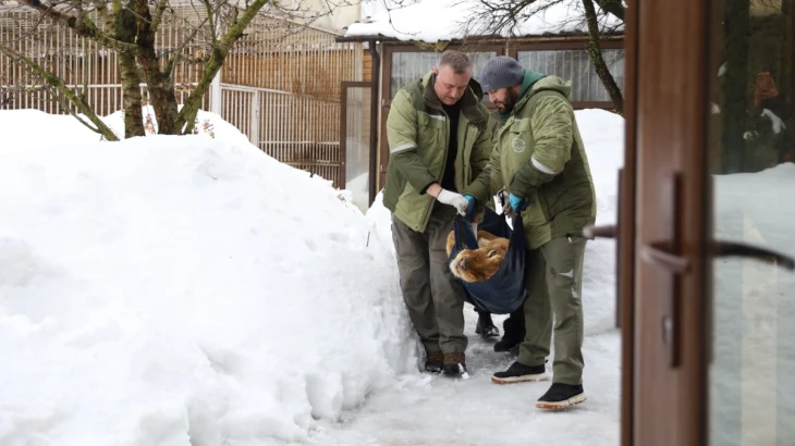 Сотрудники прокуратуры изъяли диких животных у жителя Новой Москвы Сотрудники прокуратуры изъяли диких животных у жителя Новой Москвы
