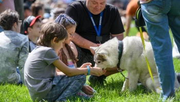 В Москве пройдет второй чемпионат по аджилити на Кубок столицы