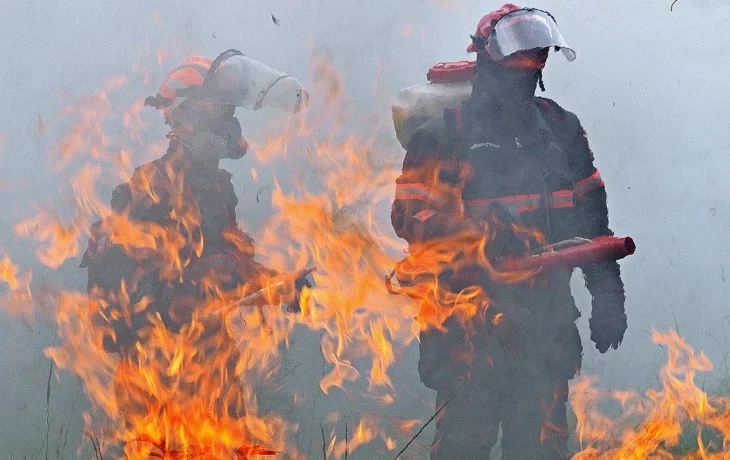 Возникший после отражения атаки БПЛА пожар в Тульской области сняли на видео Возникший после отражения атаки БПЛА пожар в Тульской области сняли на видео