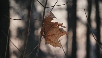 Юрист Соловьев: Семью Усольцевых могут признать погибшей до весны 2026 года