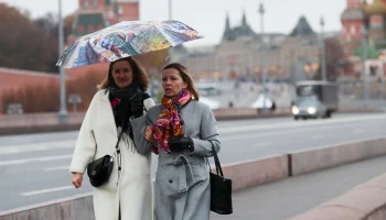 Синоптики сообщили о теплой и дождливой погоде в Москве 27 ноября