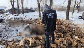 Ребенок погиб из-за обрушившейся на него кирпичной печи в Забайкалье