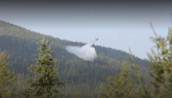 Рослесхоз: пожар в районе Дюрсо возник из-за нарушения жителями правил безопасности
