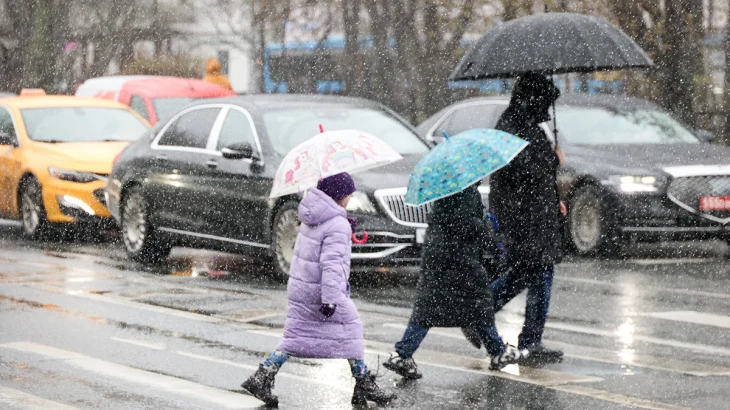 Синоптики предупредили москвичей о снеге с дождем 29 апреля