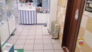 Две владелицы столичных аптек арестованы за подпольные продажи лекарств