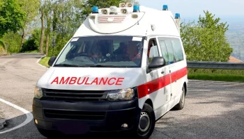 The Star: ребенок из России умер после укуса медузы в Малайзии