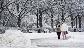 КГХ: В Москве может выпасть до семи сантиметров снега 7 февраля
