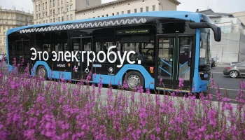 Более 10 новых маршрутов автобусов и электробусов запустили этим летом в Москве