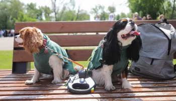 Грозы и 20-градусное тепло: какая погода ждет москвичей в первую неделю апреля
