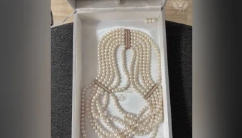 Таможенники аэропорта Пулково изъяли у женщины колье за 2,5 млн руб