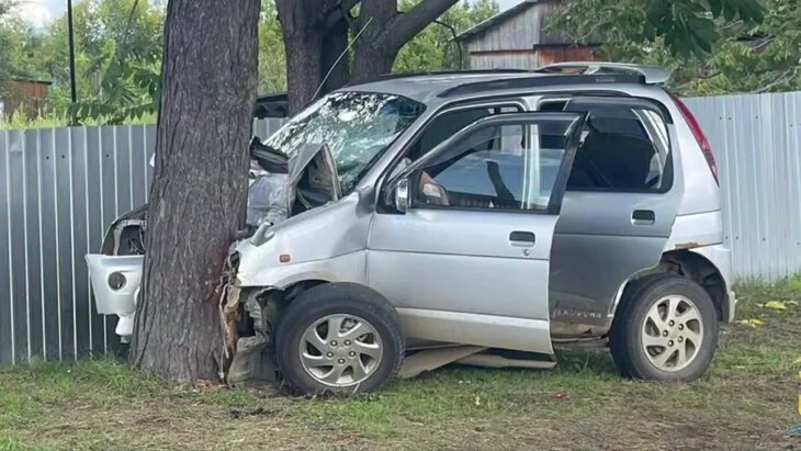 СУ СК: двое детей в тяжелом состоянии в Приморье после ДТП с 13-летней девочкой за рулем СУ СК: двое детей в тяжелом состоянии в Приморье после ДТП с 13-летней девочкой за рулем