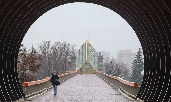 Синоптики сообщили о пасмурной и сухой погоде в Москве 5 декабря