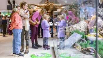 Сергунина рассказала о самых популярных у детской аудитории столичных музеях