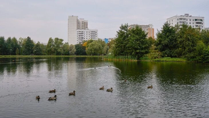 Часть парка "Ангарские пруды" благоустроят по программе КРТ в Москве