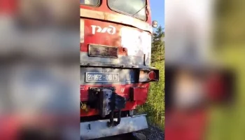 Возбуждено дело после столкновения автобуса с поездом в Ленобласти