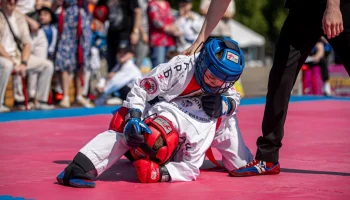 Каратэ, тхэквондо и самбо стали самыми популярными боевыми искусствами среди столичных школьников